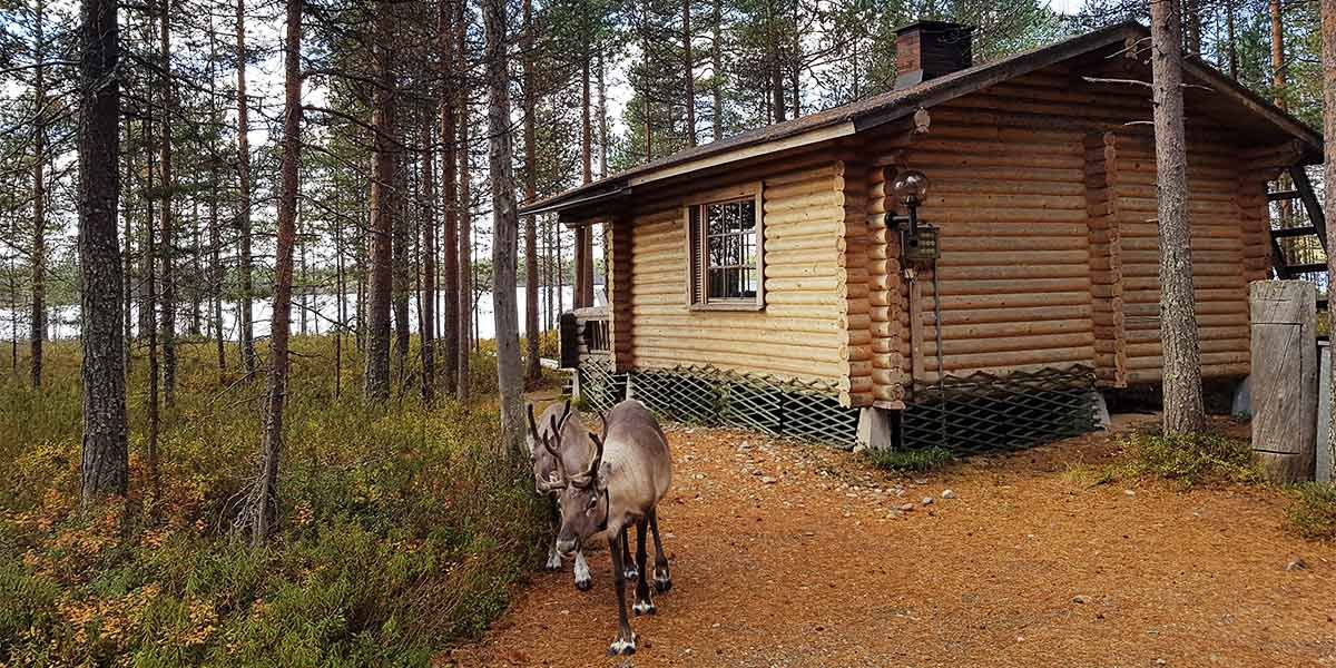 Loma-Hossa Saunamökki